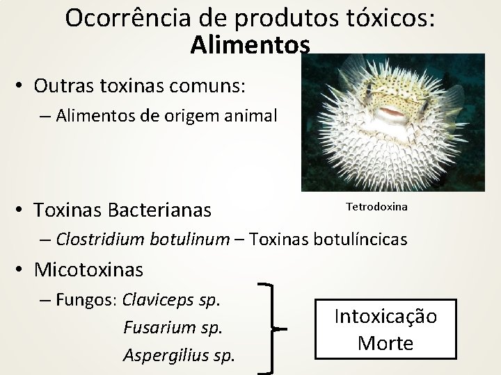 Ocorrência de produtos tóxicos: Alimentos • Outras toxinas comuns: – Alimentos de origem animal
