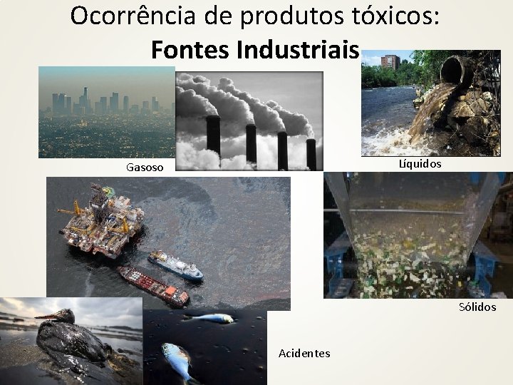 Ocorrência de produtos tóxicos: Fontes Industriais Líquidos Gasoso Sólidos Acidentes 