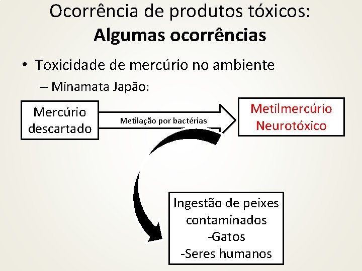 Ocorrência de produtos tóxicos: Algumas ocorrências • Toxicidade de mercúrio no ambiente – Minamata