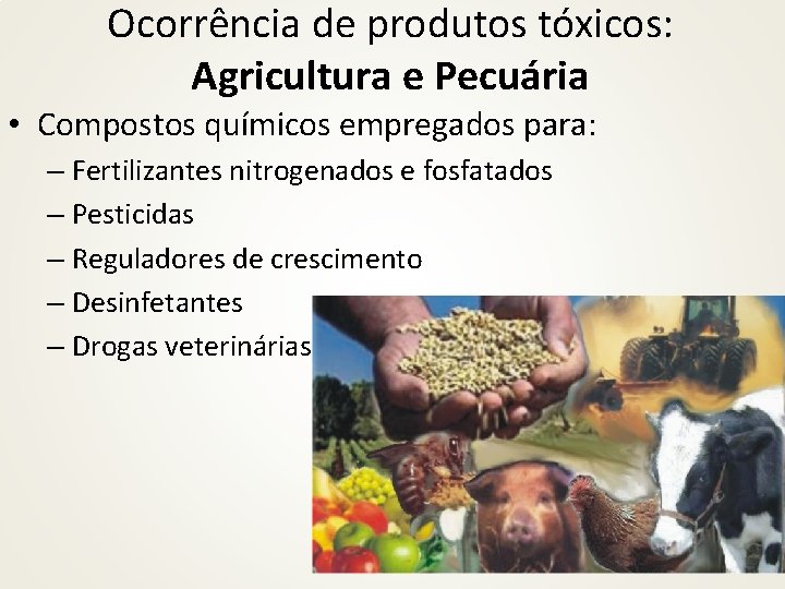 Ocorrência de produtos tóxicos: Agricultura e Pecuária • Compostos químicos empregados para: – Fertilizantes