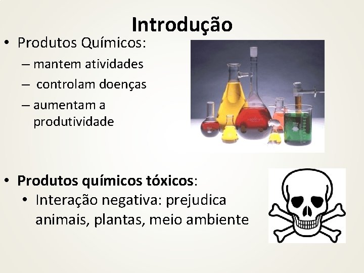 Introdução • Produtos Químicos: – mantem atividades – controlam doenças – aumentam a produtividade