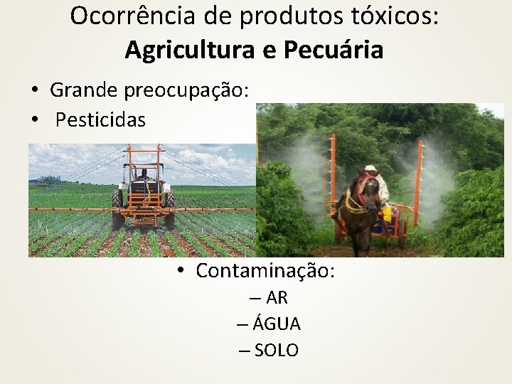 Ocorrência de produtos tóxicos: Agricultura e Pecuária • Grande preocupação: • Pesticidas • Contaminação: