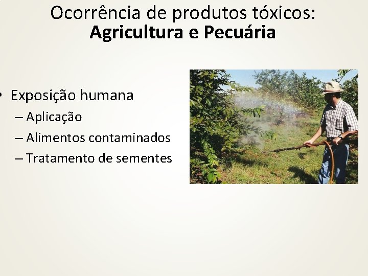 Ocorrência de produtos tóxicos: Agricultura e Pecuária • Exposição humana – Aplicação – Alimentos