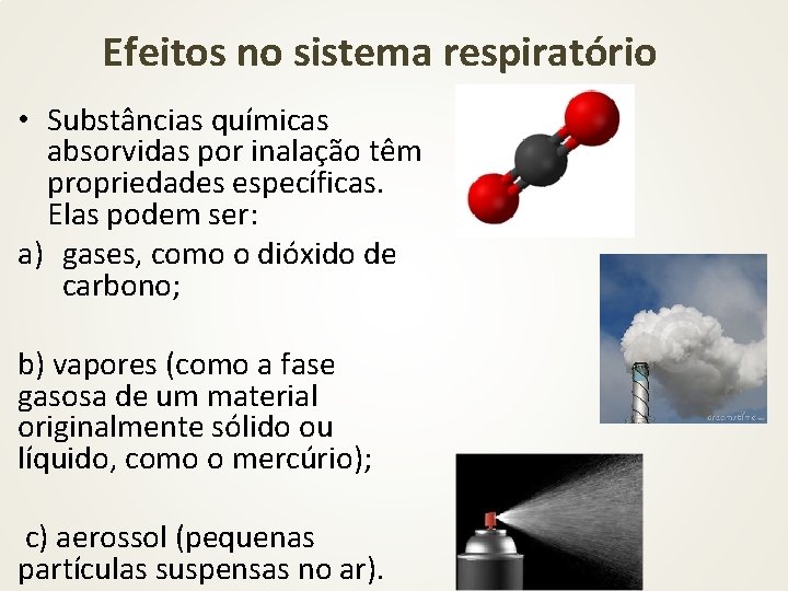 Efeitos no sistema respiratório • Substâncias químicas absorvidas por inalação têm propriedades específicas. Elas