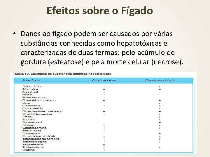 Efeitos sobre o Fígado • Danos ao fígado podem ser causados por várias substâncias