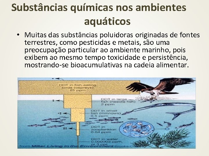 Substâncias químicas nos ambientes aquáticos • Muitas das substâncias poluidoras originadas de fontes terrestres,