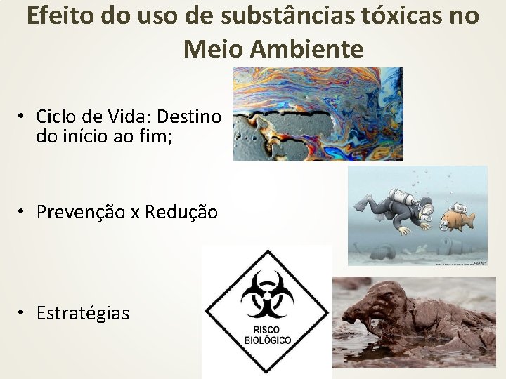 Efeito do uso de substâncias tóxicas no Meio Ambiente • Ciclo de Vida: Destino