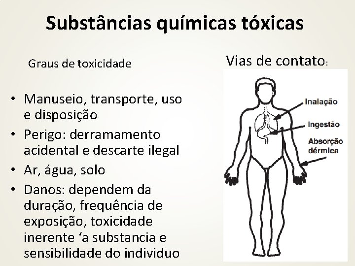 Substâncias químicas tóxicas Graus de toxicidade • Manuseio, transporte, uso e disposição • Perigo:
