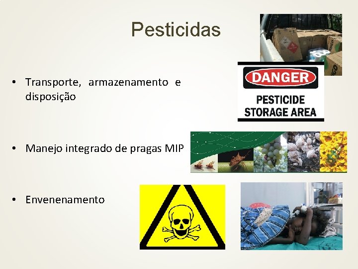 Pesticidas • Transporte, armazenamento e disposição • Manejo integrado de pragas MIP • Envenenamento