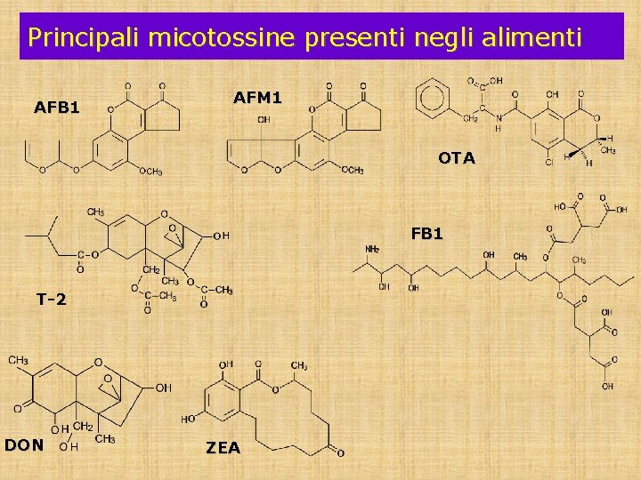 Principali micotossine presenti negli alimenti AFB 1 AFM 1 OTA FB 1 T-2 DON