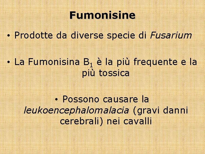 Fumonisine • Prodotte da diverse specie di Fusarium • La Fumonisina B 1 è