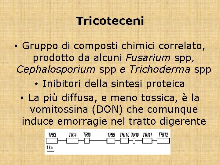 Tricoteceni • Gruppo di composti chimici correlato, prodotto da alcuni Fusarium spp, Cephalosporium spp