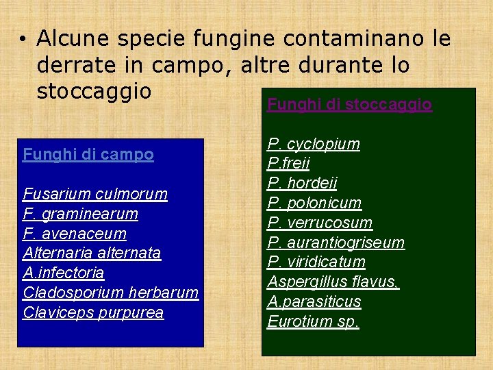  • Alcune specie fungine contaminano le derrate in campo, altre durante lo stoccaggio