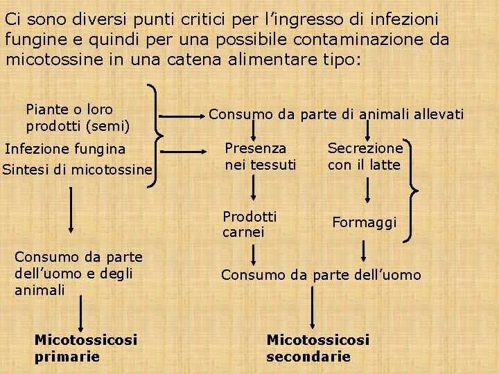 Ci sono diversi punti critici per l’ingresso di infezioni fungine e quindi per una