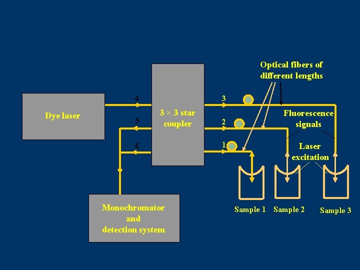 Optical fibers of different lengths 4 Dye laser 5 3 3 × 3 star