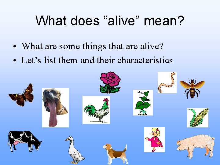 What does “alive” mean? • What are some things that are alive? • Let’s