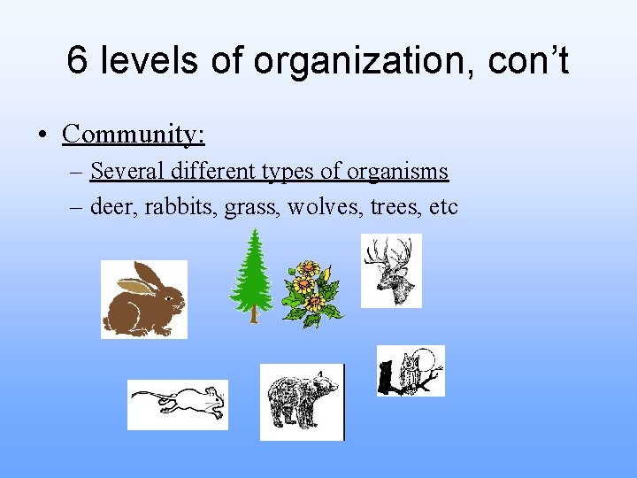 6 levels of organization, con’t • Community: – Several different types of organisms –