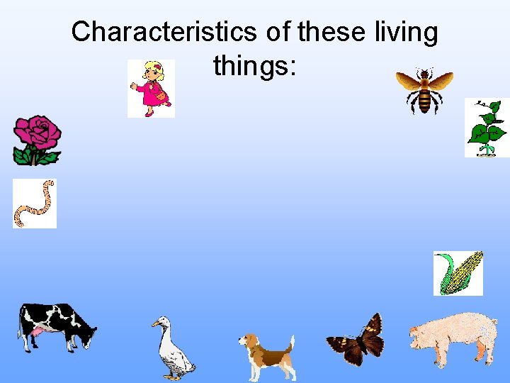 Characteristics of these living things: 