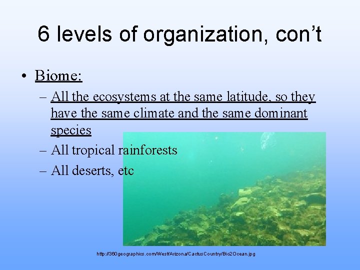6 levels of organization, con’t • Biome: – All the ecosystems at the same