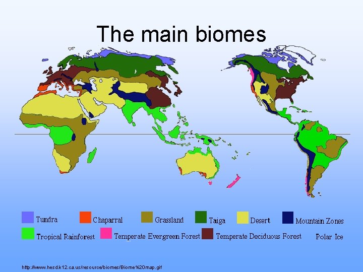 The main biomes http: //www. hesd. k 12. ca. us/resource/biomes/Biome%20 map. gif 