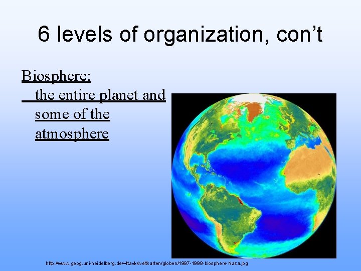 6 levels of organization, con’t Biosphere: the entire planet and some of the atmosphere