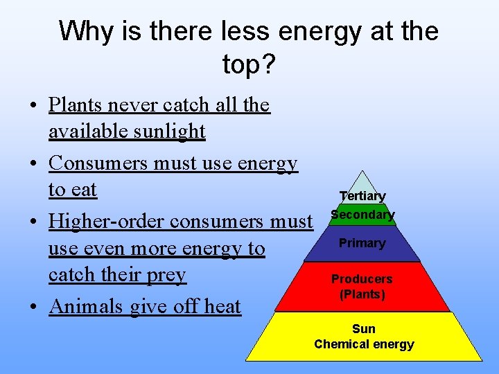 Why is there less energy at the top? • Plants never catch all the