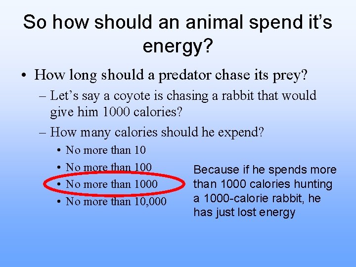 So how should an animal spend it’s energy? • How long should a predator