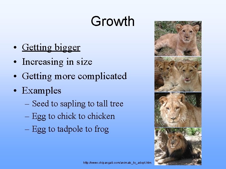 Growth • • Getting bigger Increasing in size Getting more complicated Examples – Seed