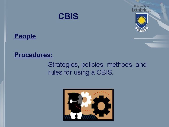 CBIS People Procedures: Strategies, policies, methods, and rules for using a CBIS. 