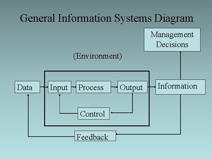 General Information Systems Diagram Management Decisions (Environment) Data Input Process Control Feedback Output Information