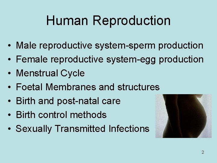Human Reproduction • • Male reproductive system-sperm production Female reproductive system-egg production Menstrual Cycle