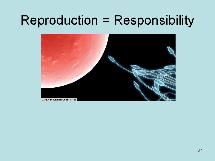 Reproduction = Responsibility 37 