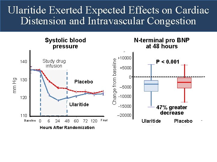 Ularitide Exerted Expected Effects on Cardiac Distension and Intravascular Congestion Study drug infusion 140 Ularitide Exerted Expected Effects on Cardiac Distension and Intravascular Congestion Study drug infusion 140