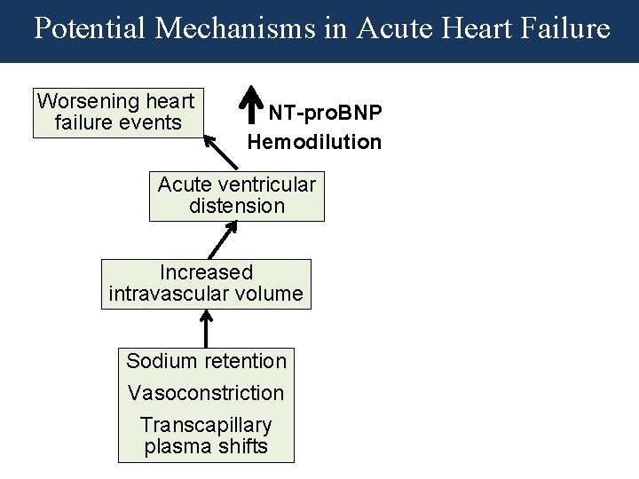 Potential Mechanisms in Acute Heart Failure Worsening heart failure events NT-pro. BNP Hemodilution Acute Potential Mechanisms in Acute Heart Failure Worsening heart failure events NT-pro. BNP Hemodilution Acute