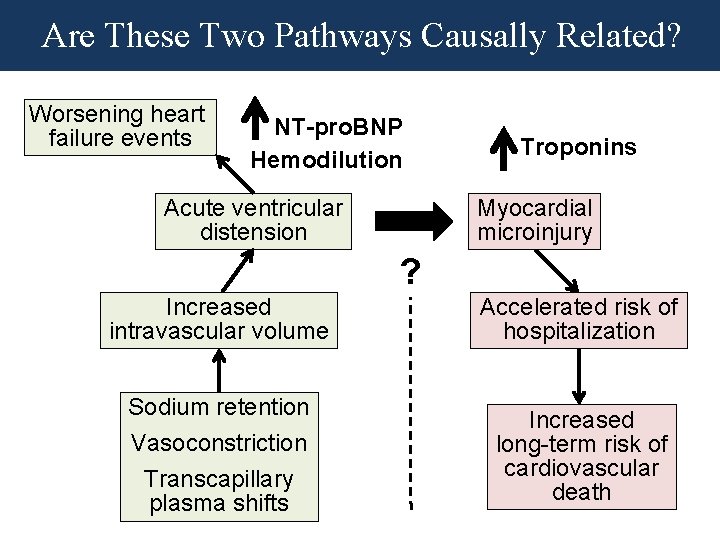 Are These Two Pathways Causally Related? Worsening heart failure events NT-pro. BNP Hemodilution Acute Are These Two Pathways Causally Related? Worsening heart failure events NT-pro. BNP Hemodilution Acute