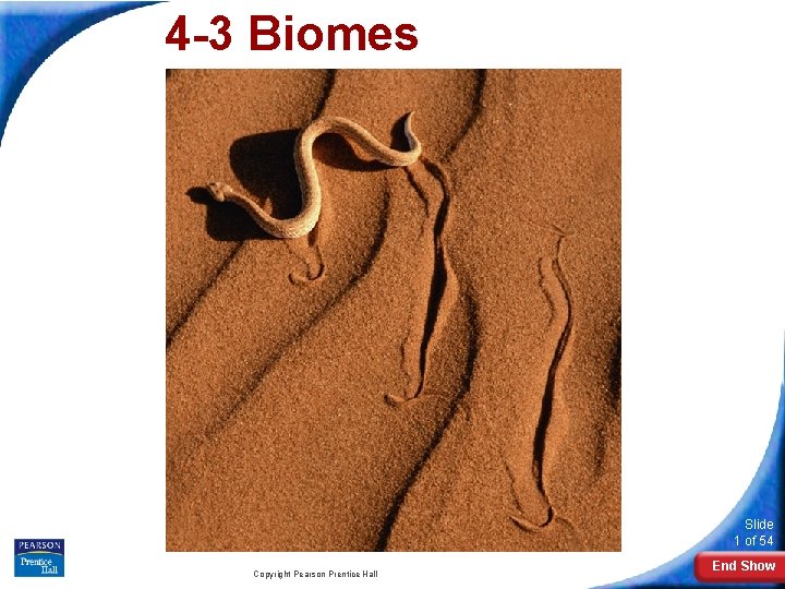 4 -3 Biomes Slide 1 of 54 Copyright Pearson Prentice Hall End Show 