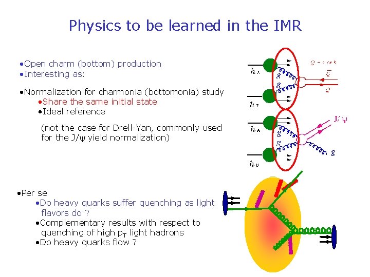 Physics to be learned in the IMR • Open charm (bottom) production • Interesting