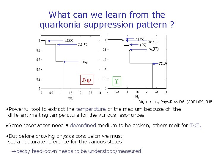 What can we learn from the quarkonia suppression pattern ? (2 S) (3 S)