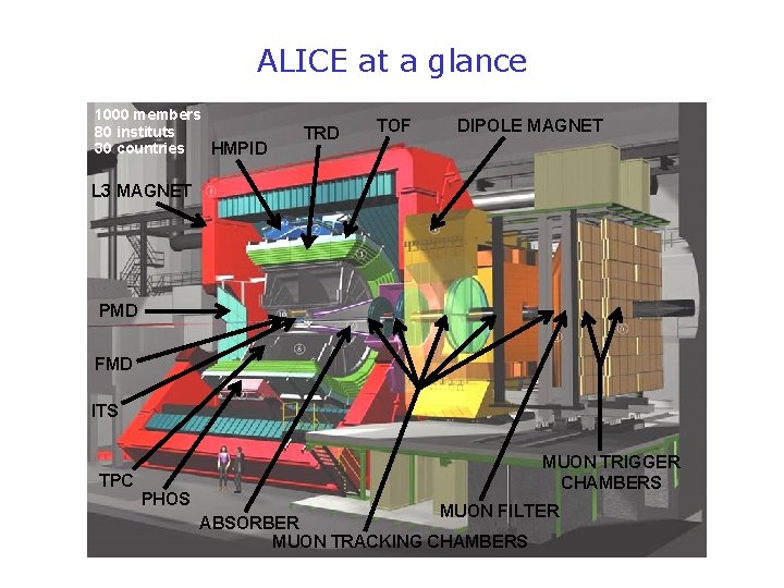 ALICE at a glance 1000 members 80 instituts 30 countries HMPID TRD TOF DIPOLE