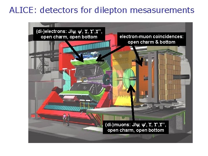 ALICE: detectors for dilepton mesasurements (di-)electrons: J/ , ’, ’’, open charm, open bottom