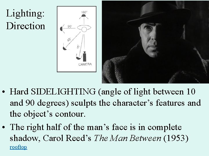 Lighting: Direction • Hard SIDELIGHTING (angle of light between 10 and 90 degrees) sculpts