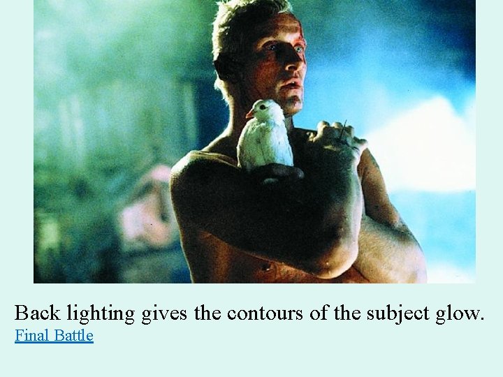 Back lighting gives the contours of the subject glow. Final Battle 