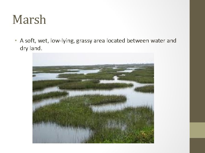 Marsh • A soft, wet, low-lying, grassy area located between water and dry land.