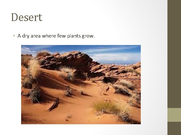 Desert • A dry area where few plants grow. 