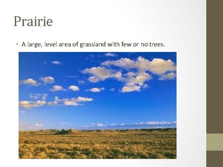 Prairie • A large, level area of grassland with few or no trees. 