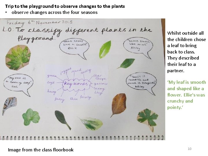 Trip to the playground to observe changes to the plants • observe changes across