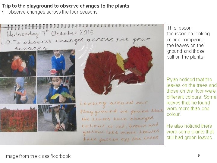 Trip to the playground to observe changes to the plants • observe changes across