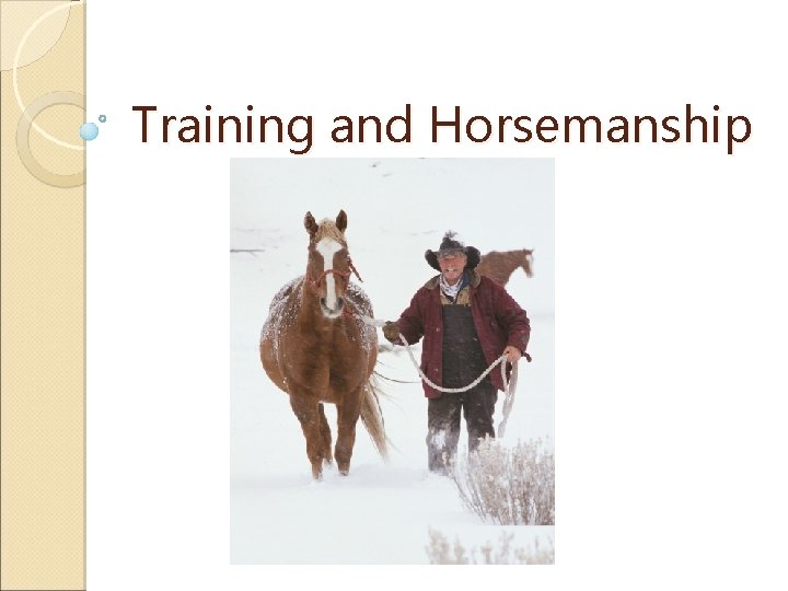 Training and Horsemanship 