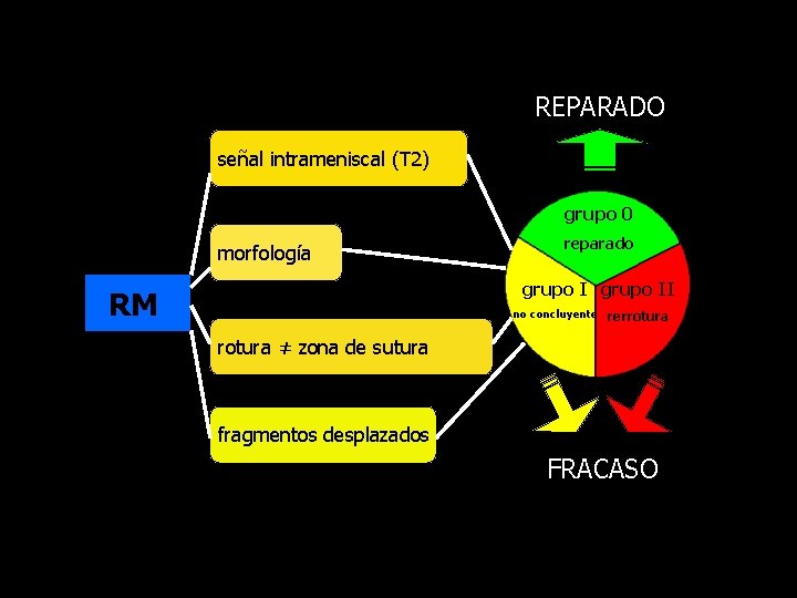 REPARADO señal intrameniscal (T 2) grupo 0 morfología reparado grupo II RM no concluyente