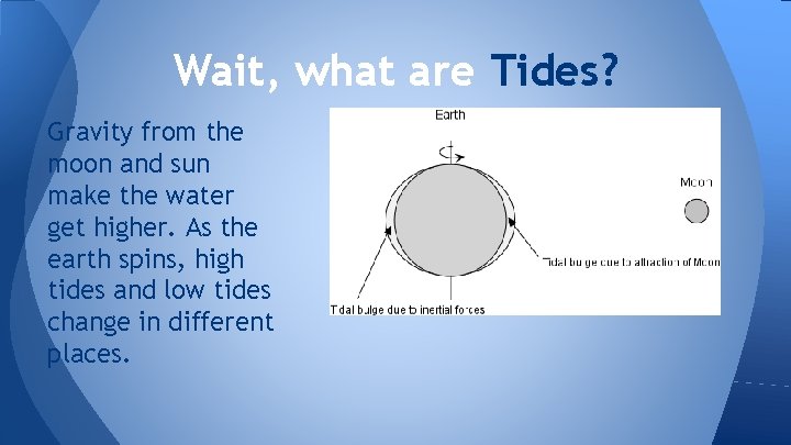 Wait, what are Tides? Gravity from the moon and sun make the water get